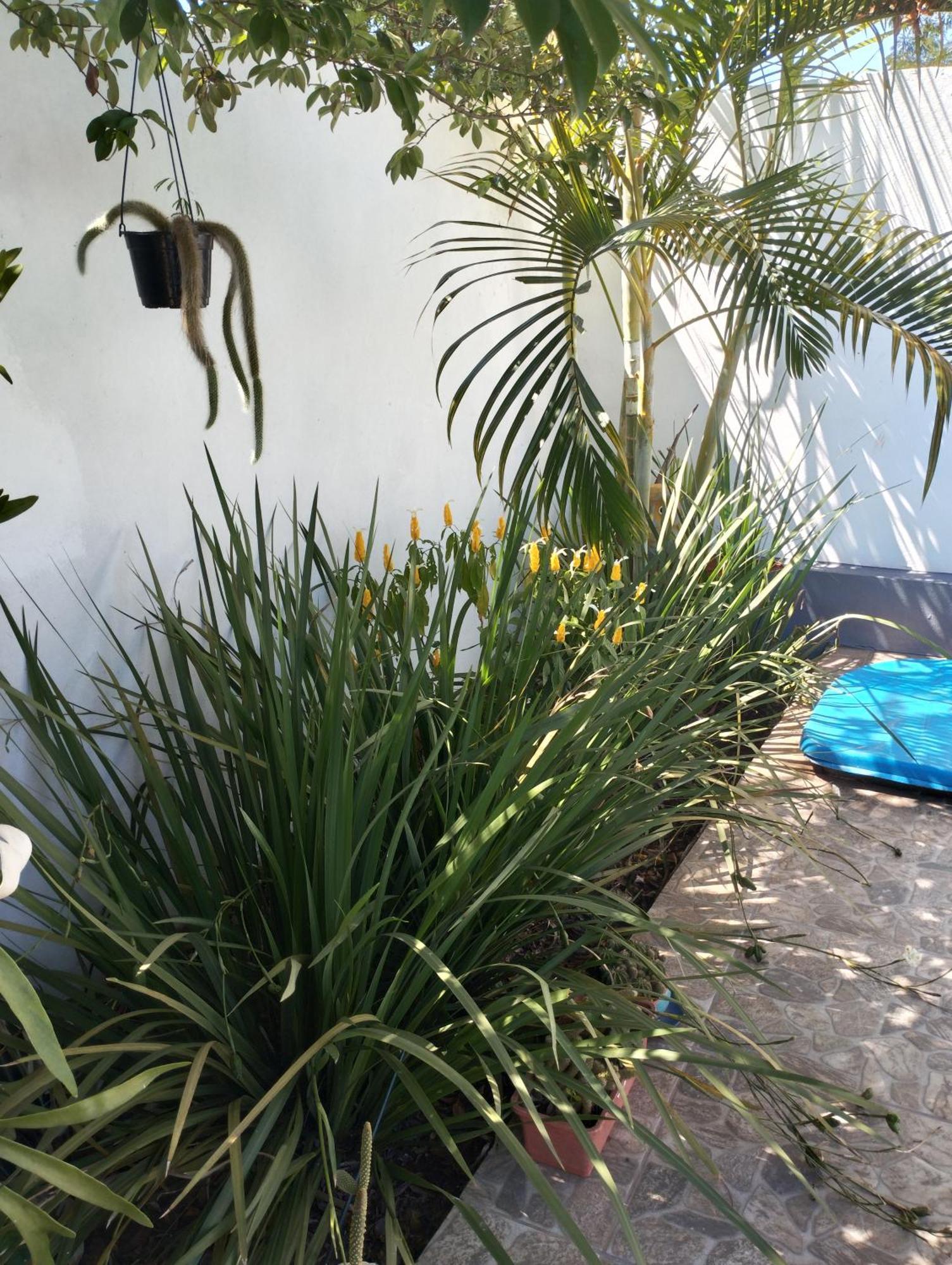 Brisas Iguazu Lägenhet Puerto Iguazú Exteriör bild